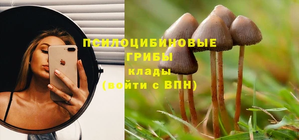 ECSTASY Абаза