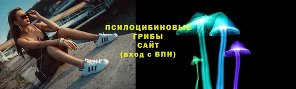 ECSTASY Абаза