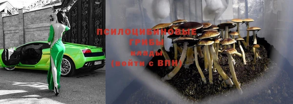 эйфоретик Абинск