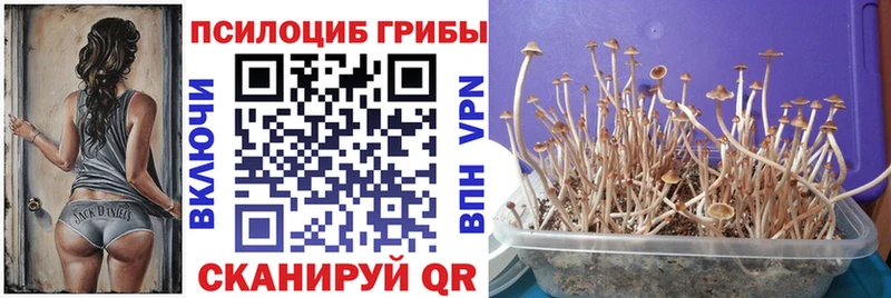 Галлюциногенные грибы MAGIC MUSHROOMS  Щучье 